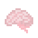 Brain